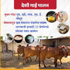 Desi Cow Farm